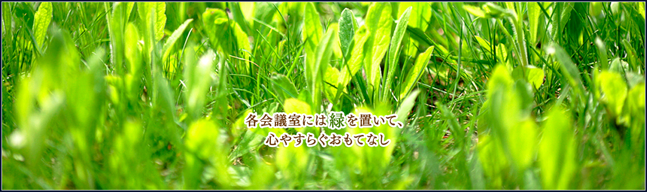 各会議室には緑を置いて、心やすらぐおもてなし