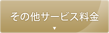 その他サービス料金